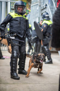 Professionele bedrijfsfotografie van een werkomgeving en personeel, vastgelegd voor lokale bedrijven in Waalwijk, Drunen, Kaatsheuvel, Tilburg of Breda.